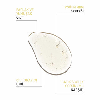 Intensive Bräunungsöl & Shower Oil – Weiche und Bronzene Haut Set